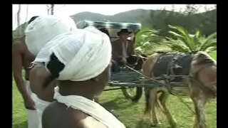 Чӣ тавр ба Неграс ҳа сензала